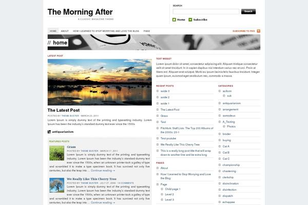 WordPress website example screenshot