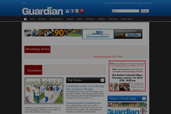 WordPress website example screenshot