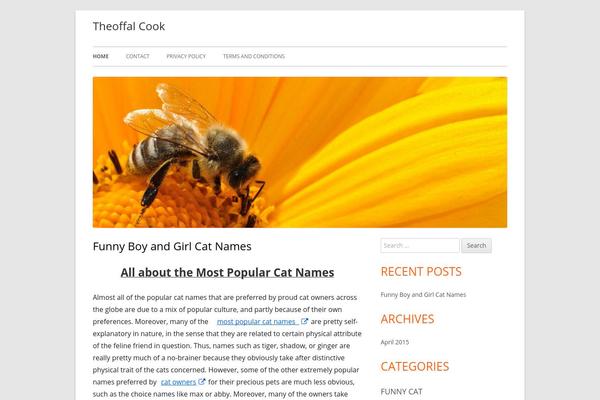 Sahifa theme site design template sample