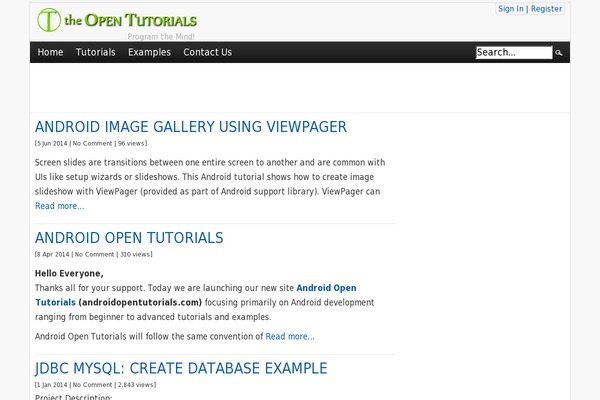 WordPress website example screenshot