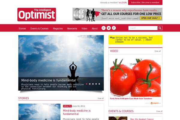 optimist theme websites examples