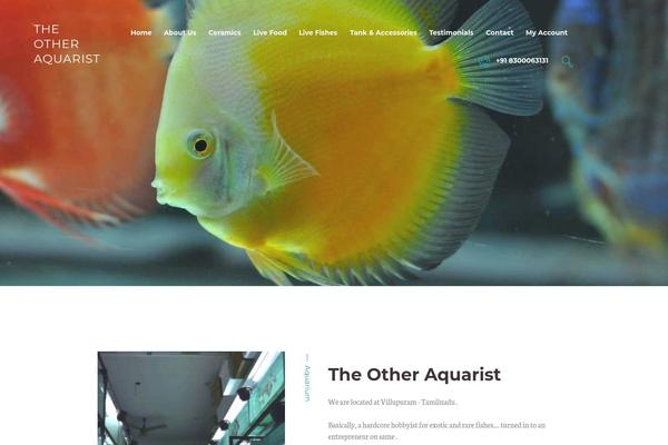 Aquapro theme site design template sample