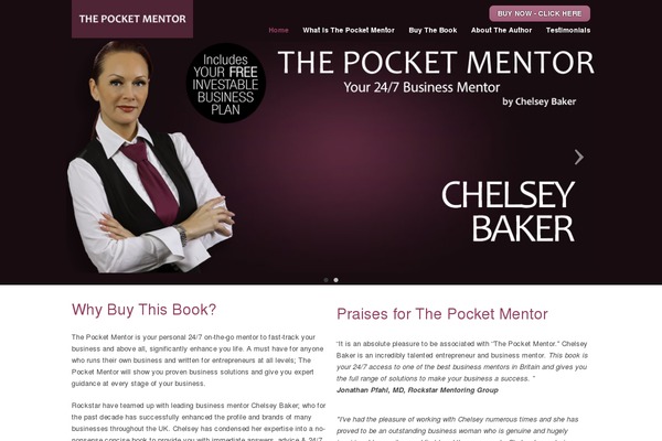 chelsey WordPress theme, websites list used chelsey theme chelsey theme websites examples