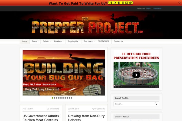 Iconic One theme site design template sample