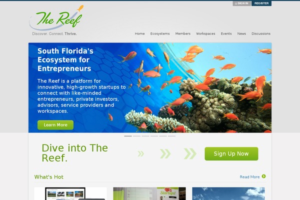 thereef theme websites examples