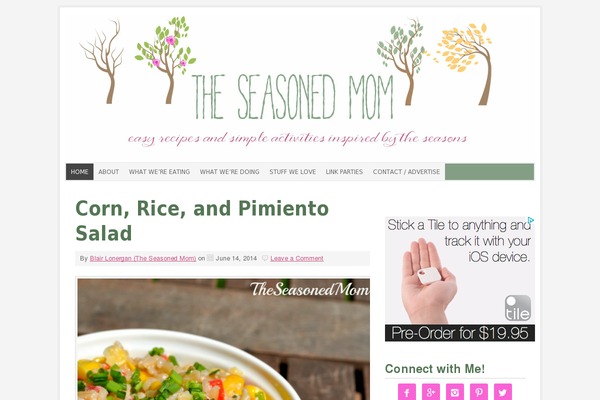theseasonedmom.com site used The-seasoned-mom-2022