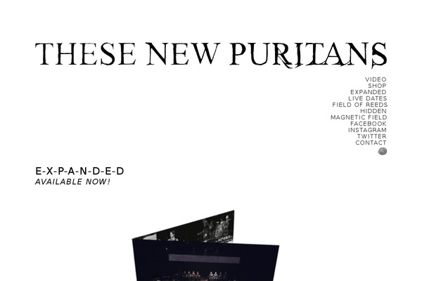 thesenewpuritans.com site used Tnp-mmxx