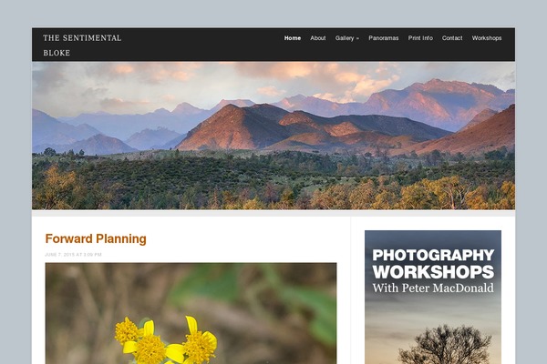 meeta-child WordPress theme, websites list used meeta-child theme meeta-child theme websites examples