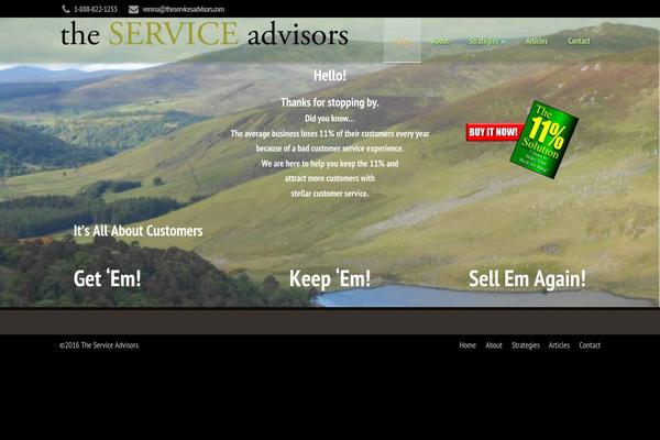 theserviceadvisors.com site used Prostyler