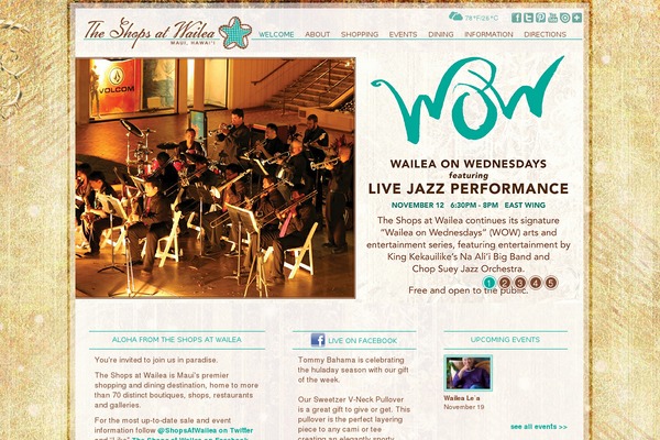 Wailea theme websites examples