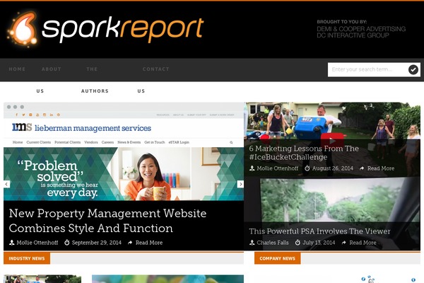 thesparkreport.com site used Skoon-child