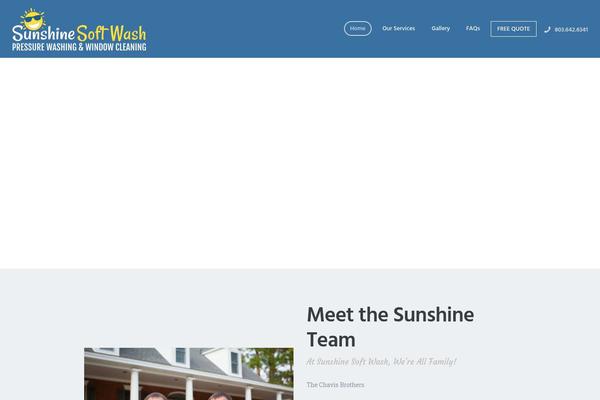 SmartClean theme websites examples