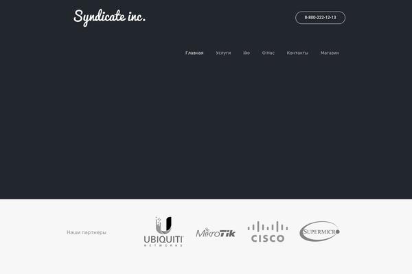 thesyndicate.ru site used Startup-company