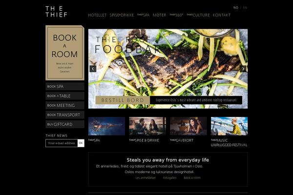 thethief theme websites examples