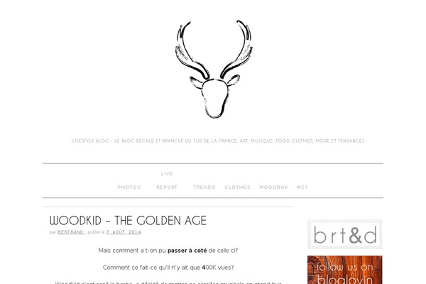 brunelleschi.1.4.9 theme websites examples