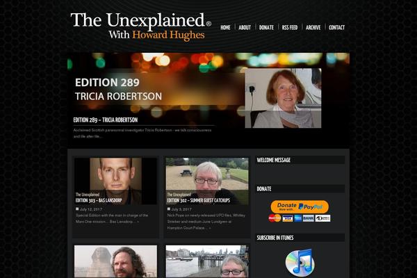 magnifica theme websites examples