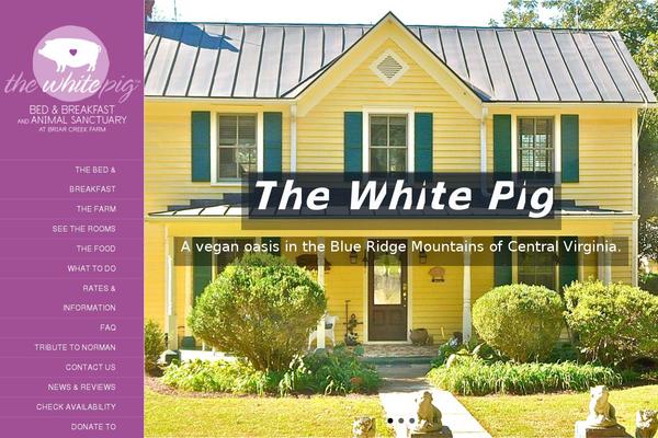 Avada theme site design template sample