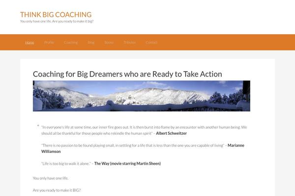 thinkbigcoaching.com site used Divi