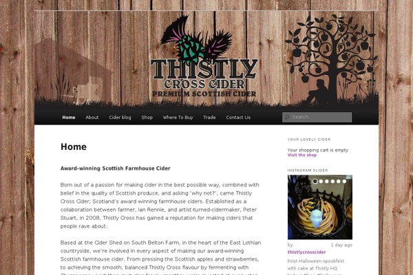 WordPress website example screenshot