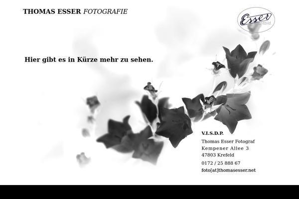 Twenty Twenty-Three theme site design template sample