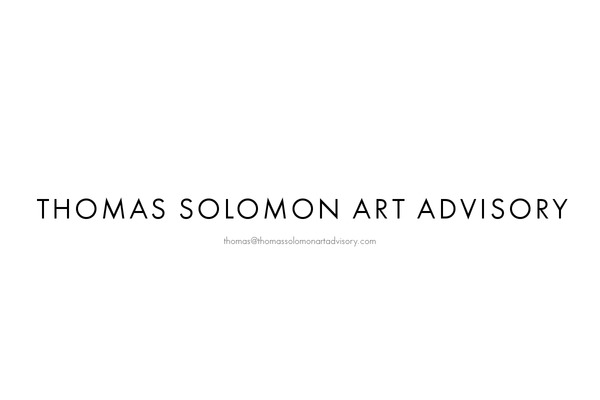 thomassolomonartadvisory theme websites examples