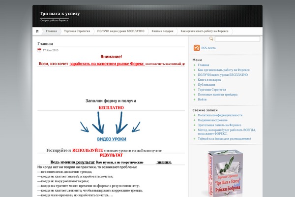 WordPress website example screenshot