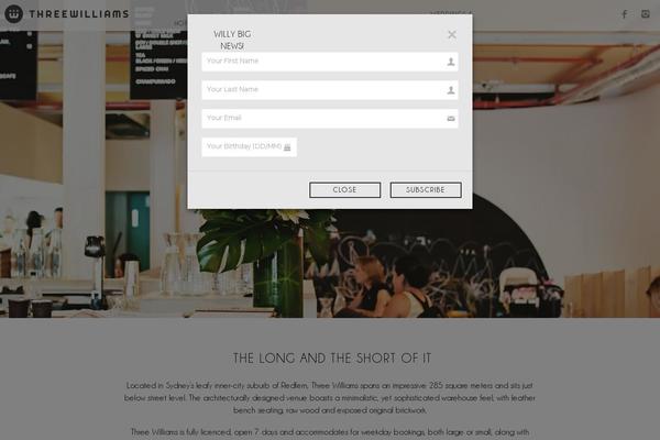 threewilliams theme websites examples