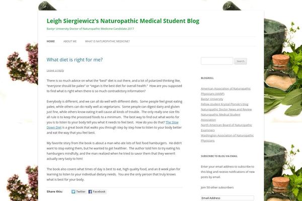 WordPress website example screenshot