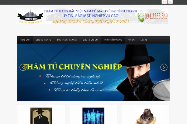 thuethamtu.com.vn site used Thuethamtu