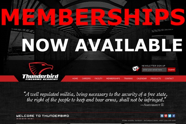 thunderbirdguns.com site used Thunderbird