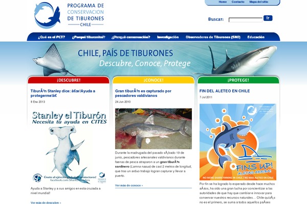 tiburoneschile.cl site used Arthemia