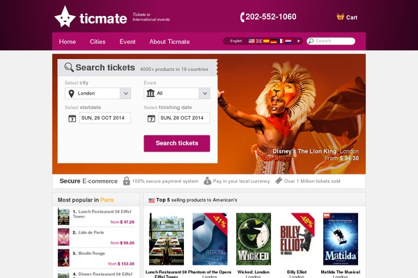 ticmatenews theme websites examples