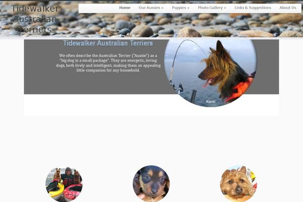 Site using SiteOrigin Widgets Bundle plugin