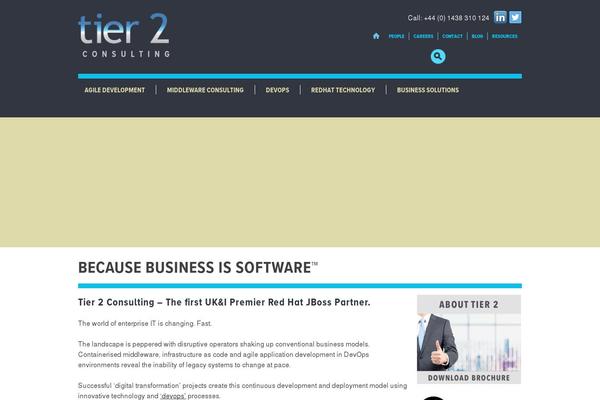 tier2consulting.com site used Tier2consulting