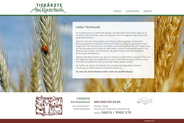 WordPress website example screenshot