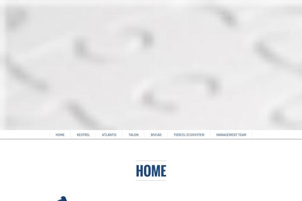 Scrn theme site design template sample