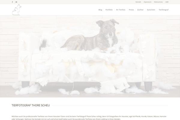 Enfold theme site design template sample