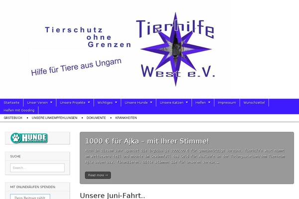 Magazine Basic theme site design template sample