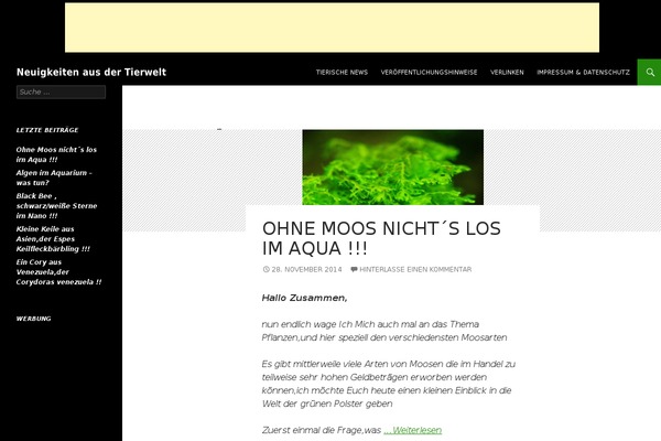 WordPress website example screenshot