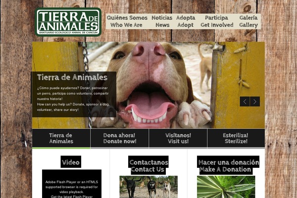 tierradeanimales.org site used Tierra