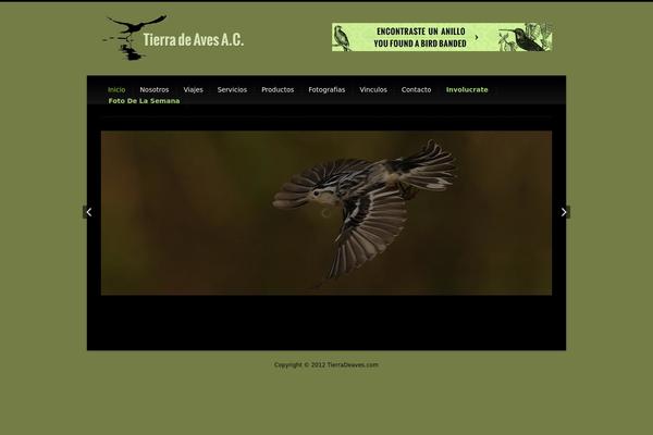 Canvas theme site design template sample