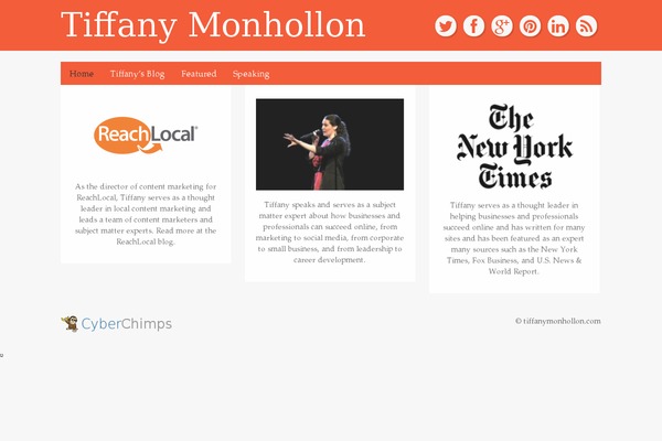 WordPress website example screenshot