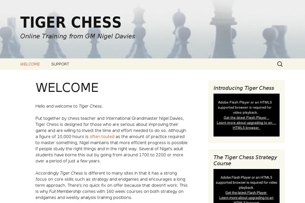 Twenty Thirteen theme site design template sample