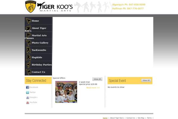 Site using FLV Embed plugin