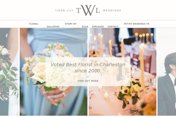 tlw WordPress theme, websites list used tlw theme tlw theme websites examples