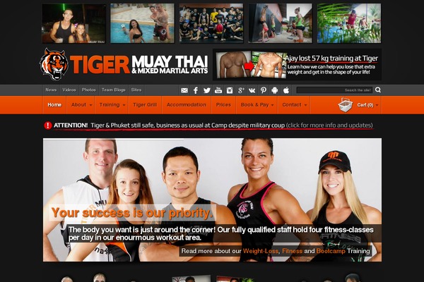 tigermuaythai.com site used Tmt
