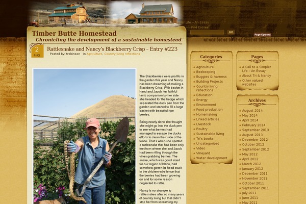 Site using Fusion-builder plugin