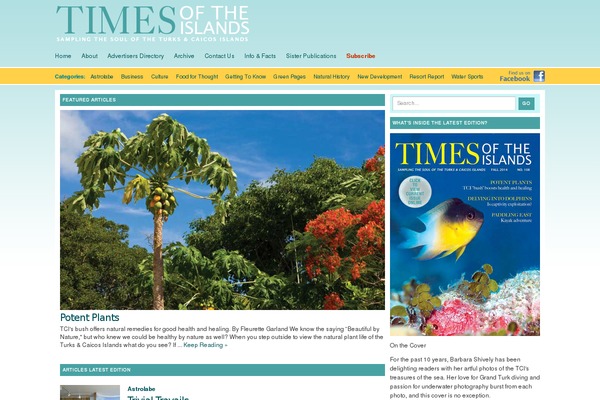 timespub.tc site used Timespubtemplate