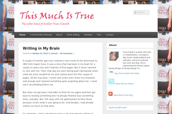 Catch Box theme site design template sample