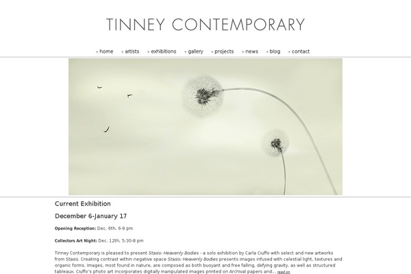 tinneycontemporary.com site used Simplish